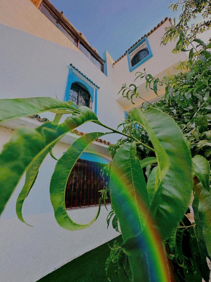 Auberge Dalia Šafšawán Exteriér fotografie