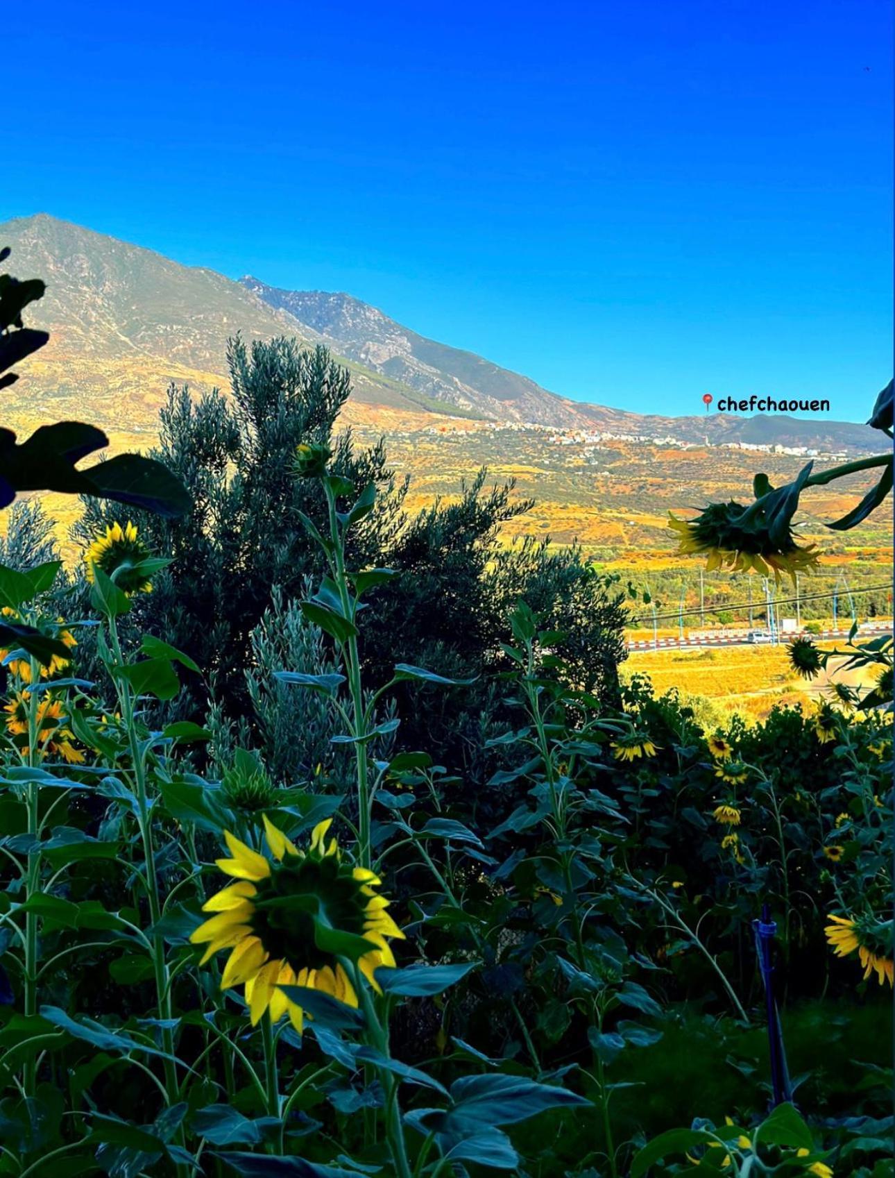 Auberge Dalia Šafšawán Exteriér fotografie